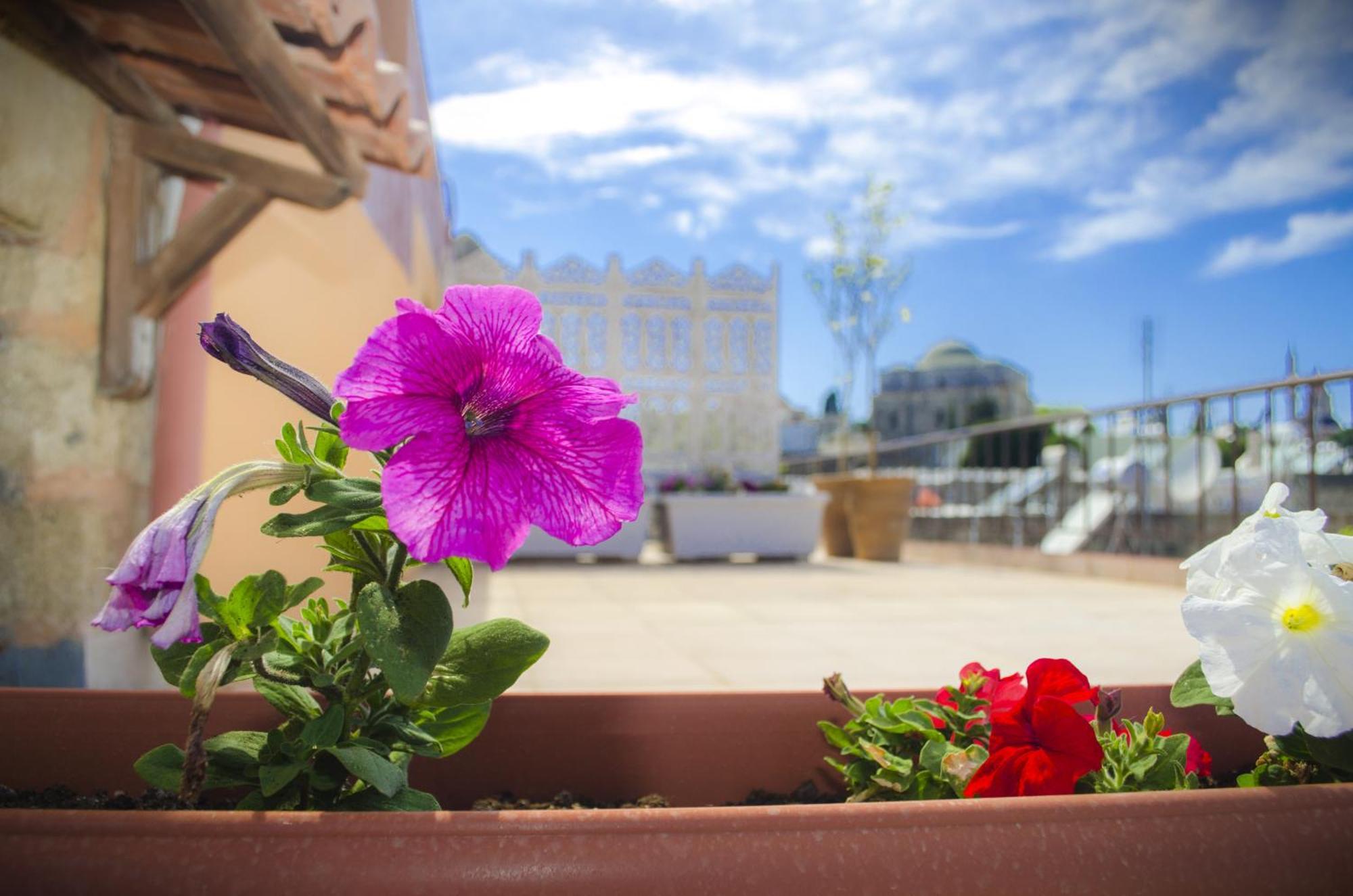 Petrino Aparthotel Rhodes City Szoba fotó